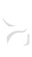 Logo Navbar