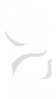 Logo Footer